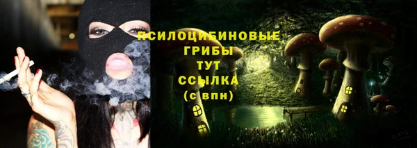 2c-b Верхний Тагил