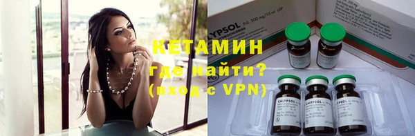сатива Верея