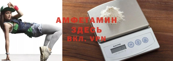 сатива Верея