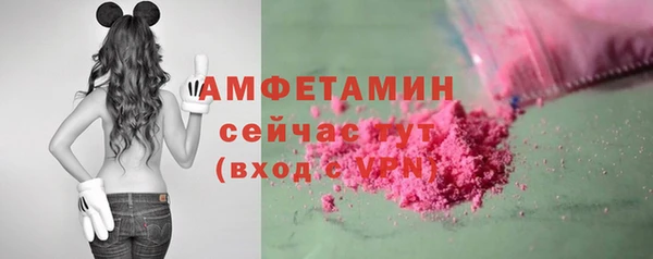 сатива Верея