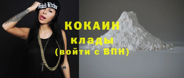 сатива Верея