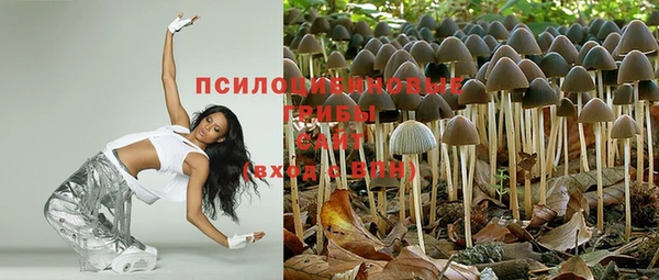 сатива Верея