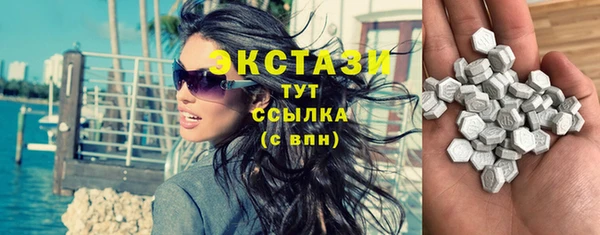 сатива Верея