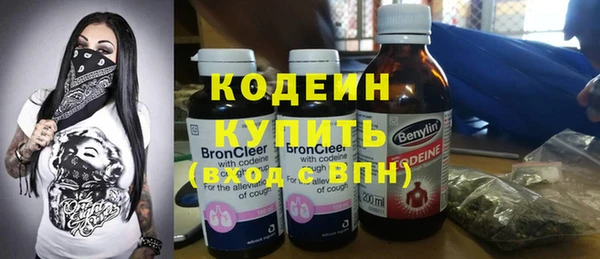 сатива Верея