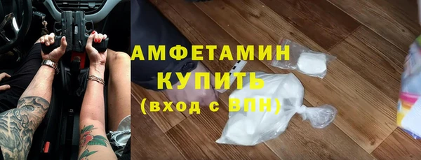 сатива Верея